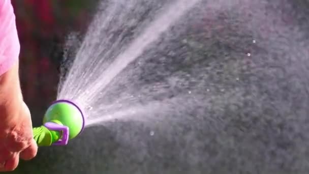 手动花园喷雾器 — 图库视频影像