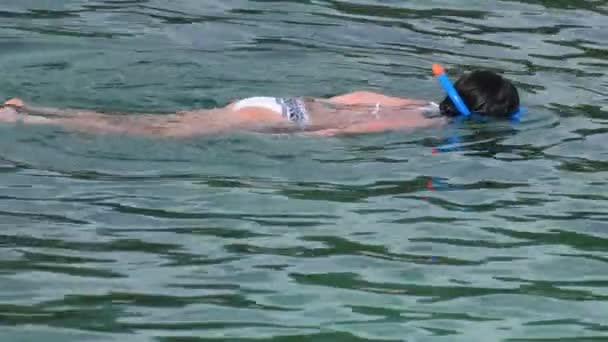 Mergulho de snorkel na água azul-turquesa clara — Vídeo de Stock