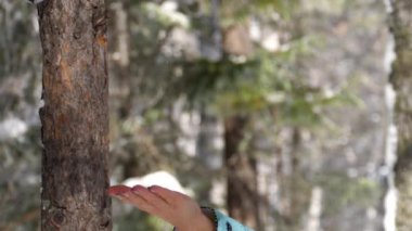 Kadın elinde kuş tohum yiyecek