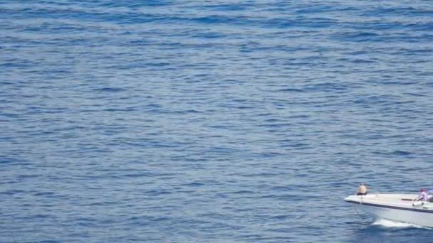 シミラン諸島、ビーチに近づく高速モーター ボート — ストック動画