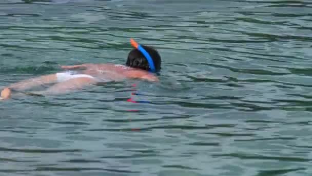 Buceo en el agua turquesa transparente — Vídeos de Stock