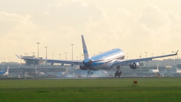 Klm オランダ航空のエアバス a330 型機着陸 — ストック動画