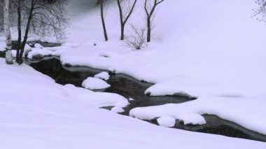 Huş ağacıyla kışın manzarası