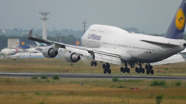 Flugzeug landet in Frankfurt — Stockvideo