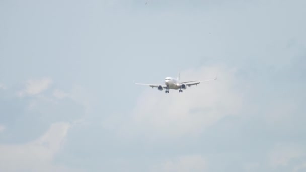 ユーロ アトランティック航空ボーイング 737 着陸 — ストック動画