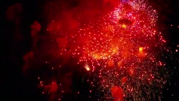 Fuochi d'artificio lampeggianti nel cielo delle vacanze notturne — Video Stock