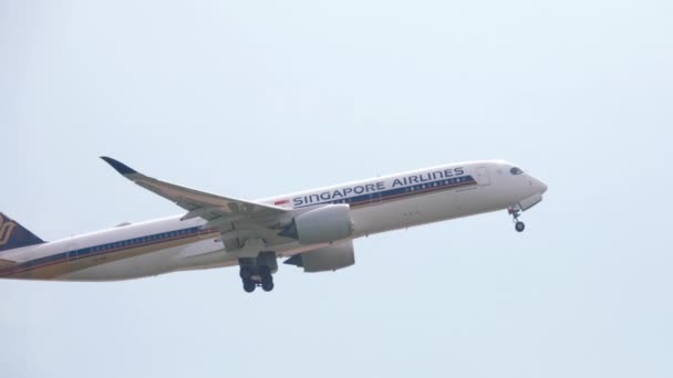 Widebody airplane departing — Stock Video