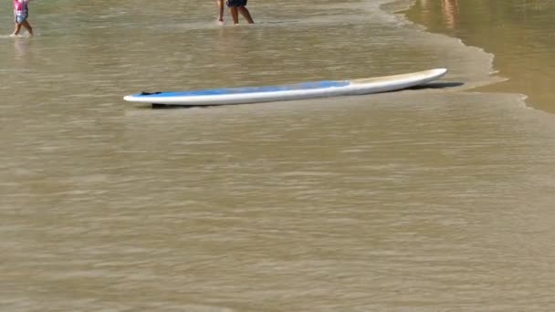 Boş tropikal kumsalda sörf tahtası. — Stok video