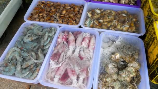 Свежие морепродукты Таиланда на рынке — стоковое видео