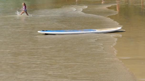 Surfboard on empty tropical sandy beach. — Stock Video