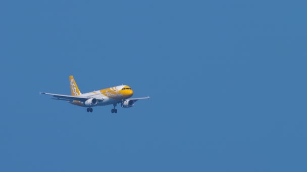 Scoot Airbus A320 nadert over oceaan — Stockvideo