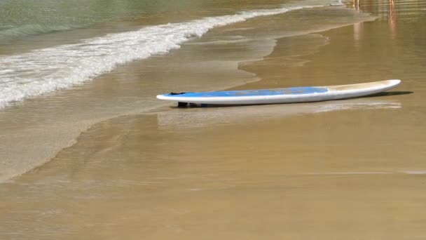 Tabla de surf en la playa de arena tropical vacía . — Vídeo de stock