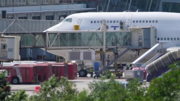 Embarque de passageiros com deficiência em avião pelo terminal de jetway — Vídeo de Stock