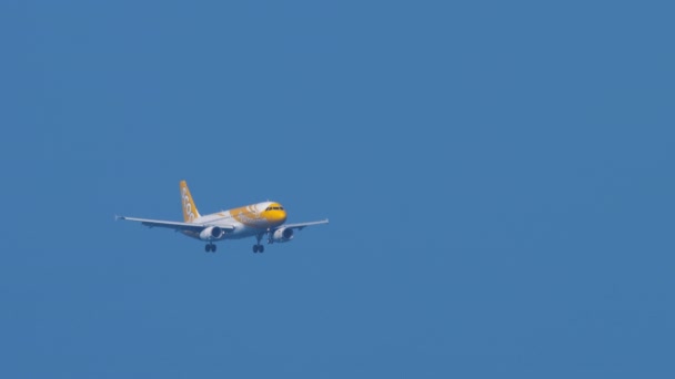 Scoot Airbus A320 nadert over oceaan — Stockvideo