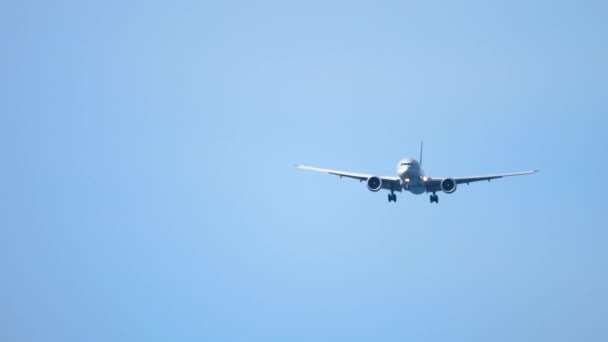 Avião de corpo largo se aproximando antes da aterrissagem — Vídeo de Stock