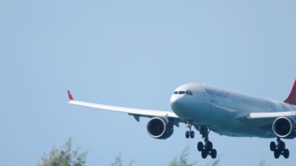 NordWind Airbus A330 aterrissagem — Vídeo de Stock