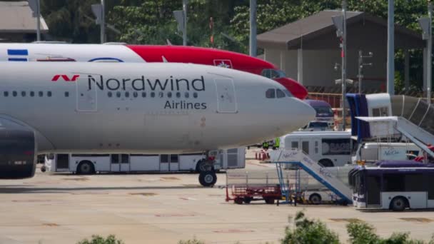 Nordwind Airbus A330 kołowania — Wideo stockowe