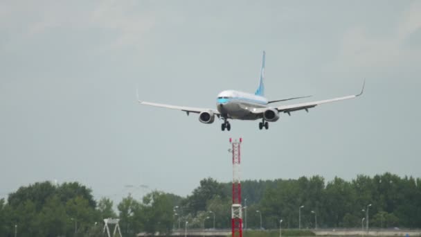 KLM librea retro Boeing 737 aterrizaje — Vídeo de stock