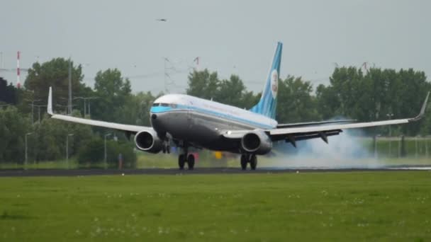 KLM librea retro Boeing 737 aterrizaje — Vídeos de Stock