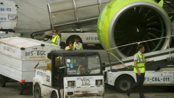 Chargement des bagages à bord de l'avion — Video