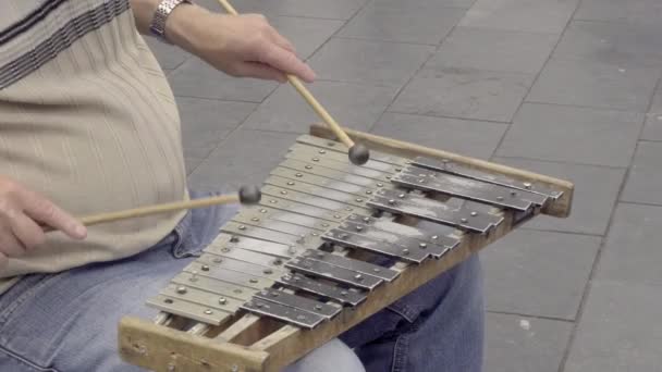 Un músico callejero toca un xilófono casero — Vídeo de stock