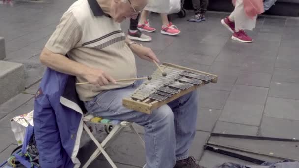 A street musician plays a homemade xylophone — Stock Video