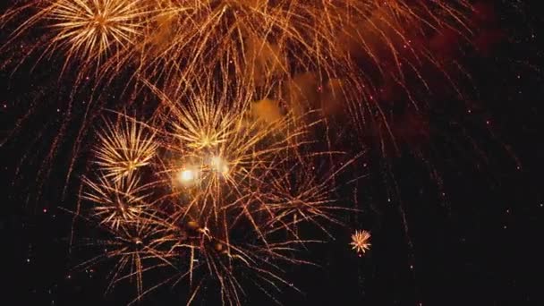 Colorido de fogos de artifício no festival do dia da cidade — Vídeo de Stock