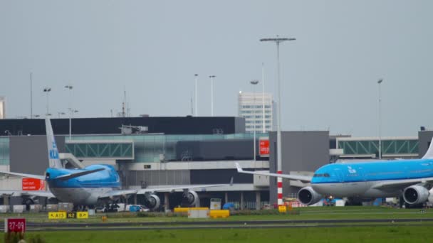 KLM Airbus A330 in taxi dopo l'atterraggio — Video Stock