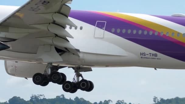 Aviones de cuerpo ancho acercándose antes de aterrizar — Vídeos de Stock