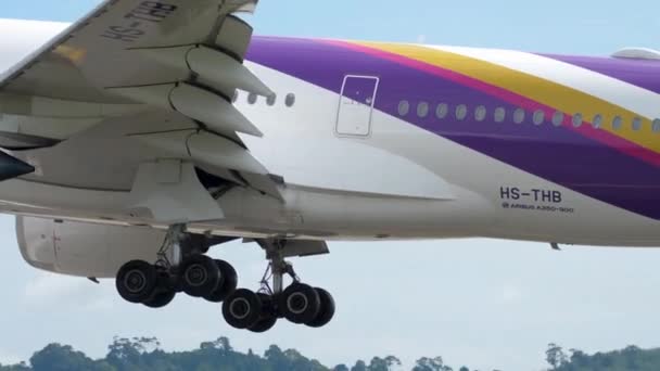 Großraumflugzeug im Landeanflug — Stockvideo