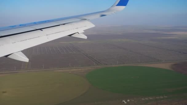 降下中の飛行機からの航空ビュー — ストック動画