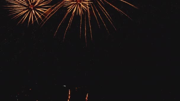 Цветной фейерверк на фестивале Дня города — стоковое видео