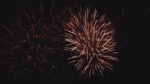 Цветной фейерверк на фестивале Дня города — стоковое видео