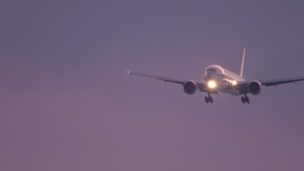 Flygplan närmar sig över havet vid solnedgången backgfround — Stockvideo