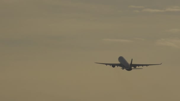 Avião decola e sobe — Vídeo de Stock