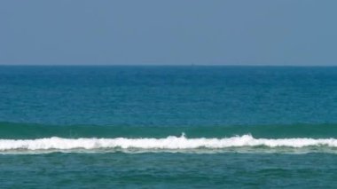 Mercan Kayalıklarında Dalgalar