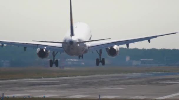 Avión aterrizando temprano en la mañana — Vídeos de Stock