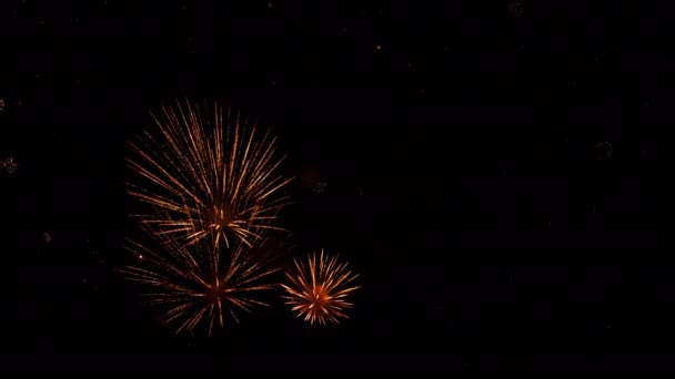 Kleurrijk van vuurwerk op City day festival — Stockvideo