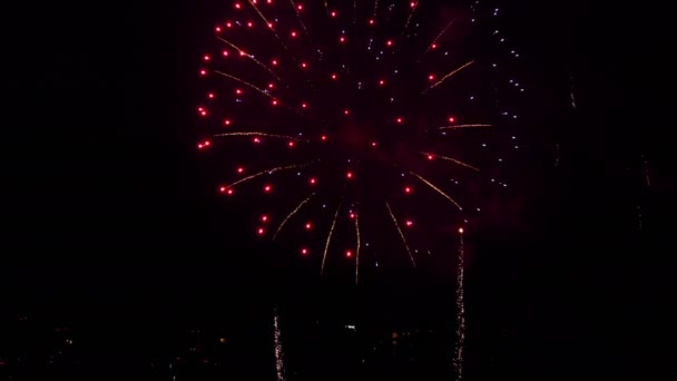 Kleurrijk van vuurwerk op City day festival — Stockvideo