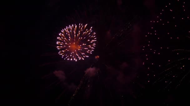 축제 날의 화려 한 불꽃놀이 — 비디오