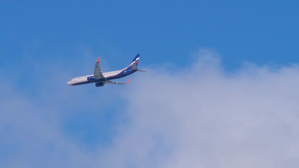 Aeroflot Boeing 737 nadert — Stockvideo