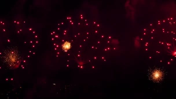 Colorful of fireworks at City day festival — Stock Video
