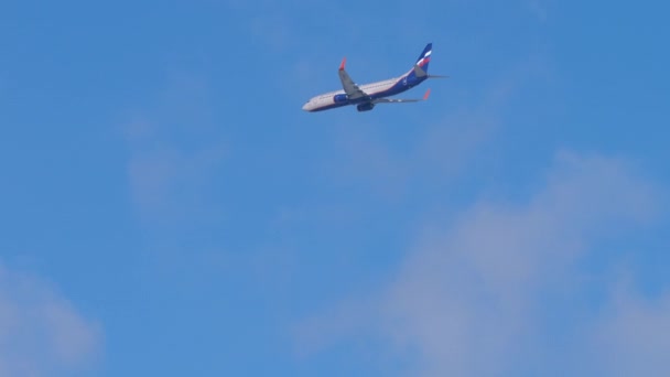 Aeroflot Boeing 737 πλησιάζει — Αρχείο Βίντεο