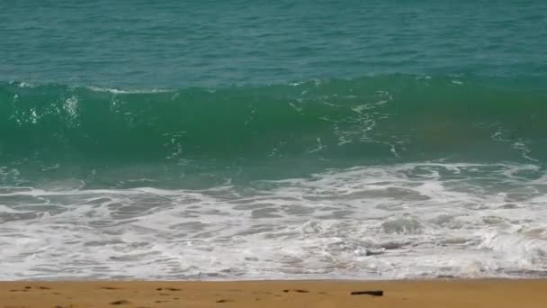 Бірюзова хвиля, повільний рух — стокове відео