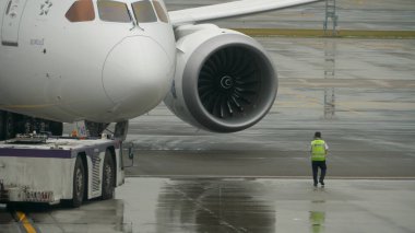 Boeing 787 Dreamliner Thai Havayolları
