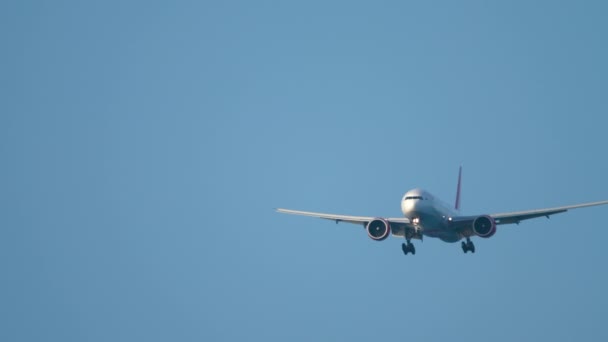 Groot vliegtuig nadert voor de landing — Stockvideo