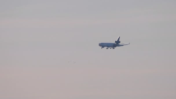 Final approach at sunset — Stock Video