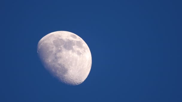 Pół księżyca piękny widok — Wideo stockowe