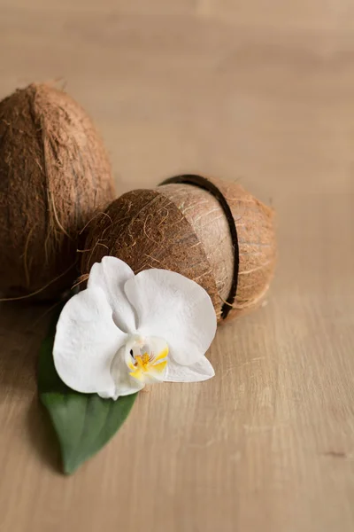 Natureza morta com coco e orquídea — Fotografia de Stock