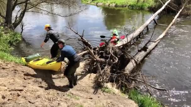 Białoruś. Mińsk. 05.2020. Mężczyźni niosą kajaki przez rzekę zregenerowani przez drzewo — Wideo stockowe